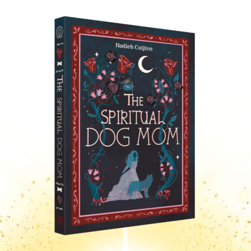 Shared Shopping Bloom 2024 06 The Spiritual Dog Mom