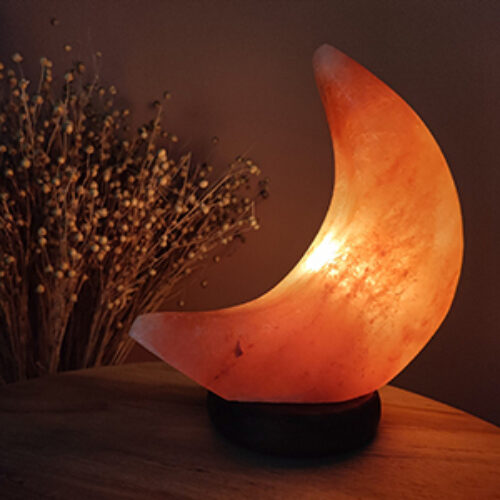 Shared Shopping maanlamp Bloom