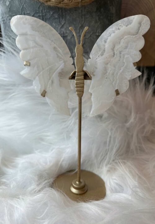 Shoppingtips Shared Shopping Page 2403 white lace vlinder