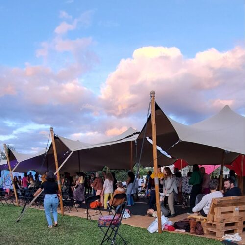 Summer Bloom Fest Diest fotos blogpost Dank je wel 15