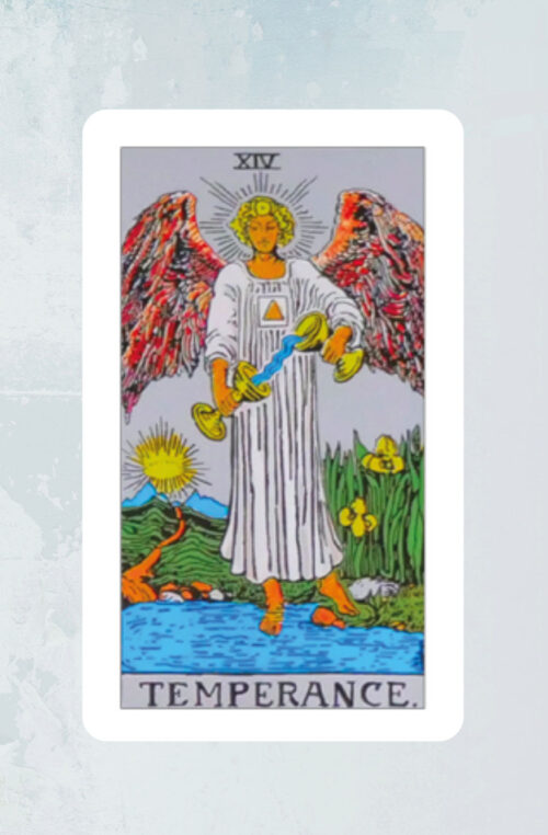Matigheid Tarot Rider Waite Bloom Webshop