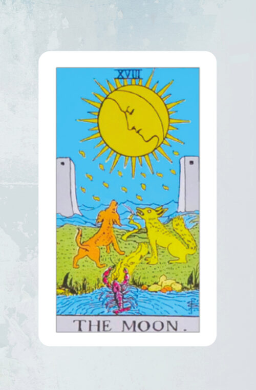 Maan Tarot Rider Waite Bloom Webshop