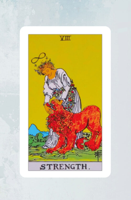 Kracht Tarot Rider Waite Bloom Webshop
