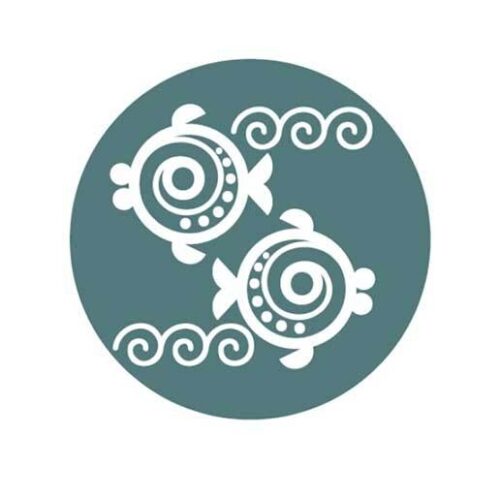 Sterrenbeelden vissen