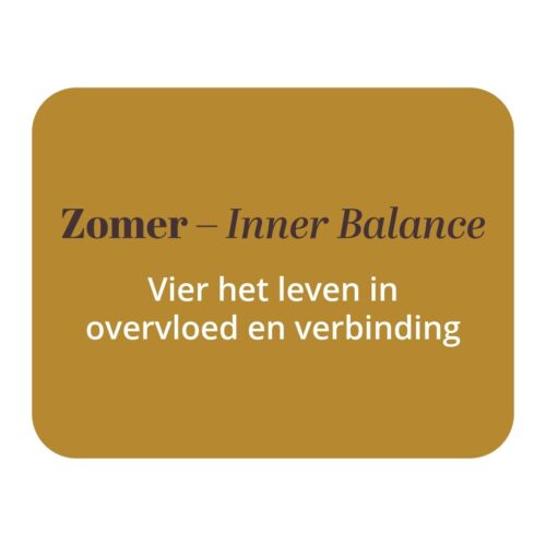 Visual zomer elaisa