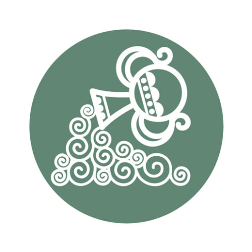 Sterrenbeelden waterman