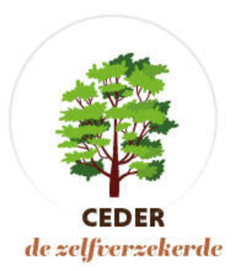 Welke boom ceder 150x1654