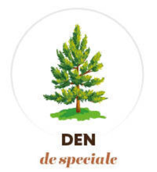 Welke boom den 150x1656