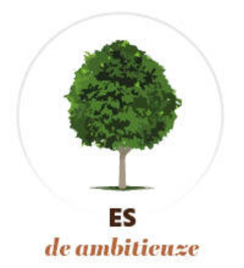 Welke boom es 150x165