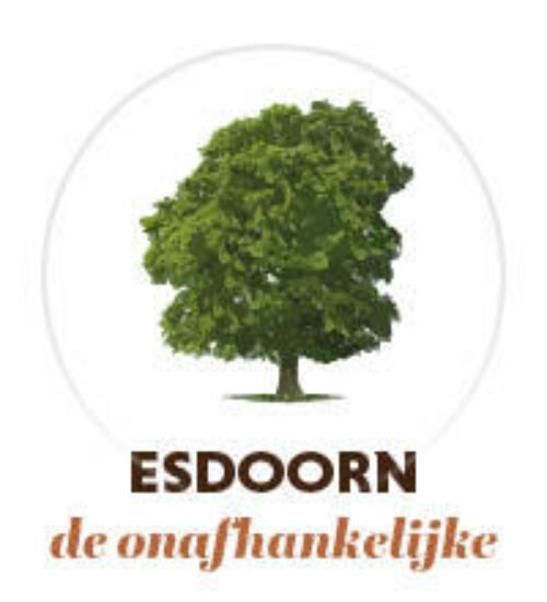 Welke boom esdoorn 150x1652