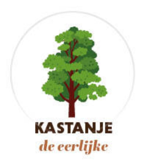 Welke boom kastanje 150x1656