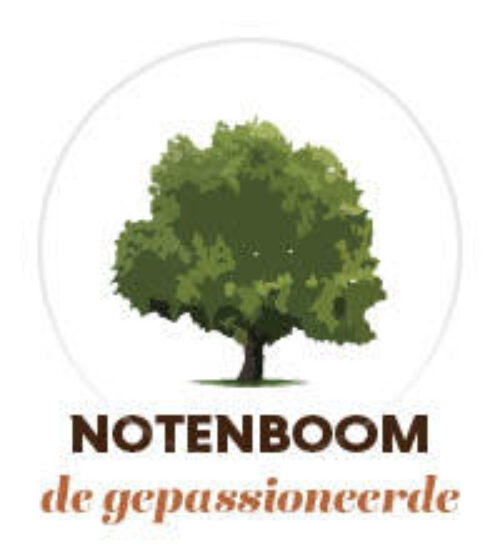 Welke boom notenboom 150x1659
