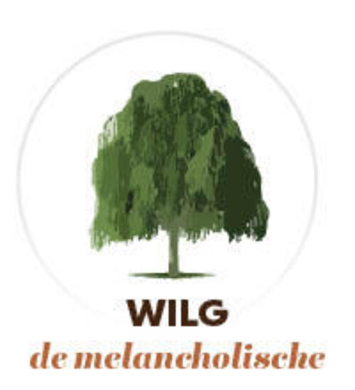 Welke boom wilg 150x165