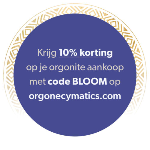 Yoeri Stor Orgonites Reportage Bloom 4 2026 Foto 4