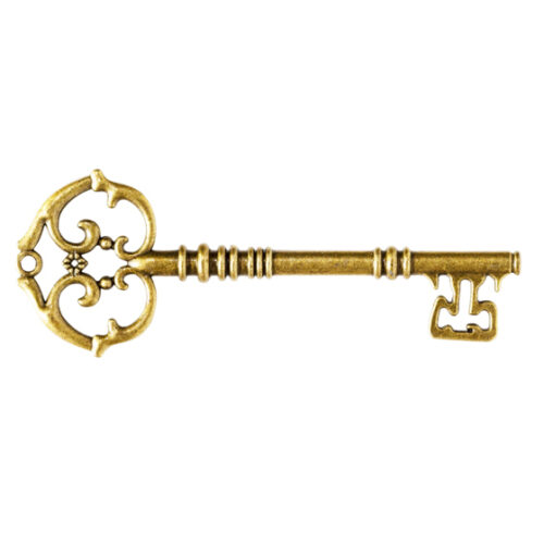 Zelfcoaching sleutels ontplooiing sleutel 1 Bloom web