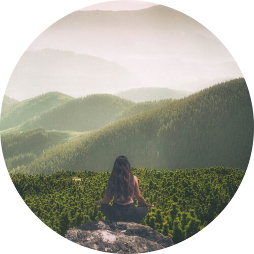 Kleurentherapie de invloed van kleuren op je welzijn artikel Bloom kleurmeditatie