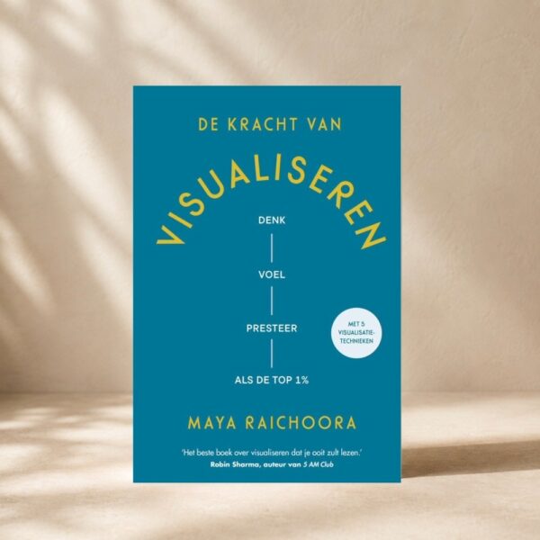 Boeken Mock ups 30 De kracht van visualiseren Front
