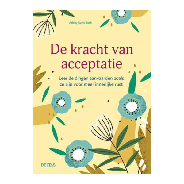De kracht van acceptatie Ashley Davis Bush 9789044757279 front