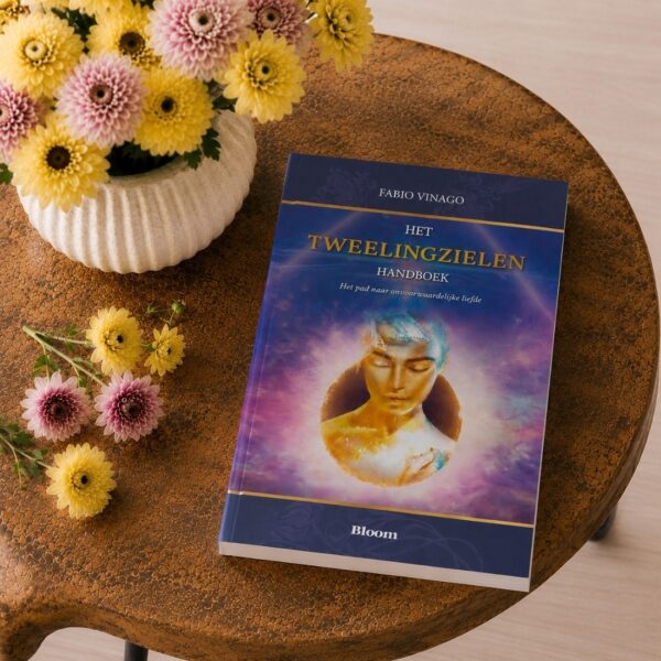 Het Tweelingzielen Handboek Fabio Vinago 9789072189226 boek Bloom web