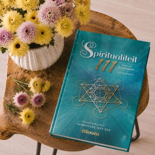 Spiritualiteit 111 Els Daemen Boek 9789072189493