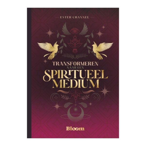 Transformeren naar een spiritueel medium Boek Ester Bloom 9789072189578 Front