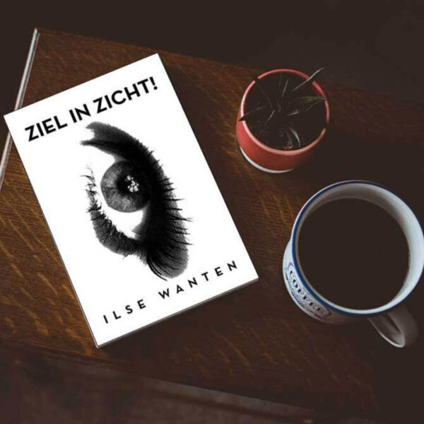 Ziel in zicht Ilse Wanten 9781471079641 front