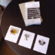 Inner Compass Cards bloom1
