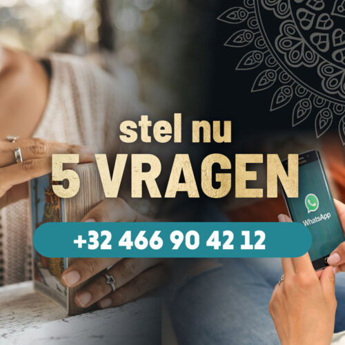 Stel 5 vragen aan een coach/medium via WhatsApp