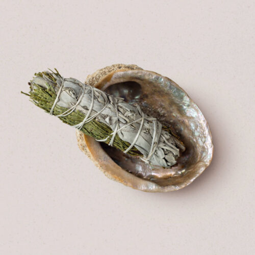 Abalone schelp
