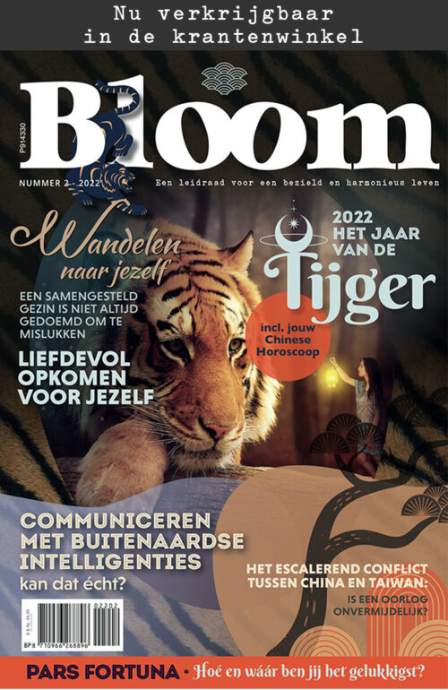 Bloom 2 - 2022 - Verbinding