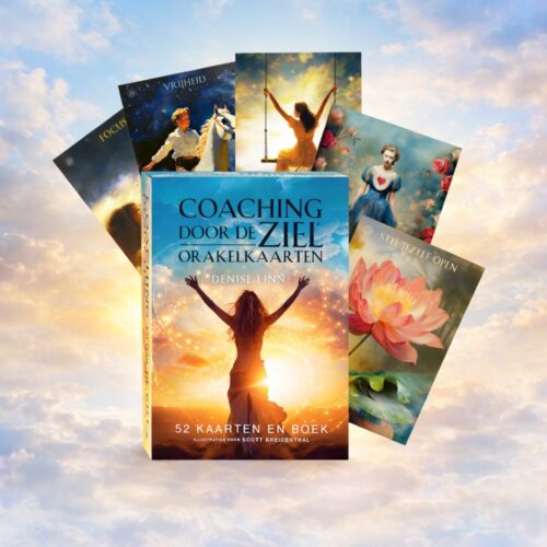 PREORDER | Coaching door de Ziel Orakelkaarten