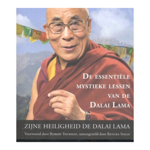 De essentiële mystieke lessen van de Dalai Lama