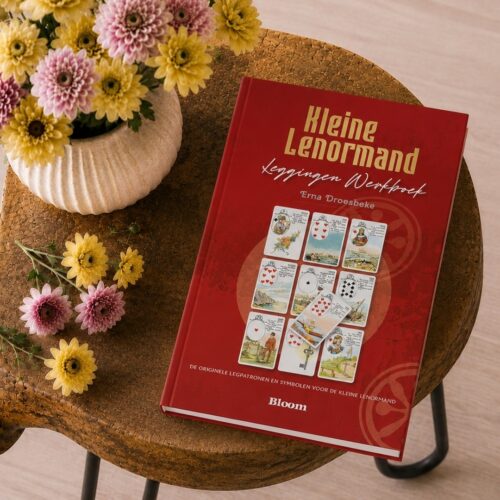 Kleine Lenormand Leggingen Werkboek