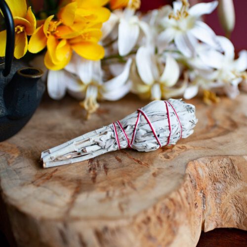 Salie Smudge Stick mini