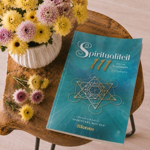 Spiritualiteit 111 • Els Daemen