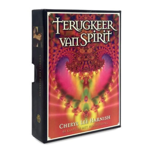 Terugkeer van spirit