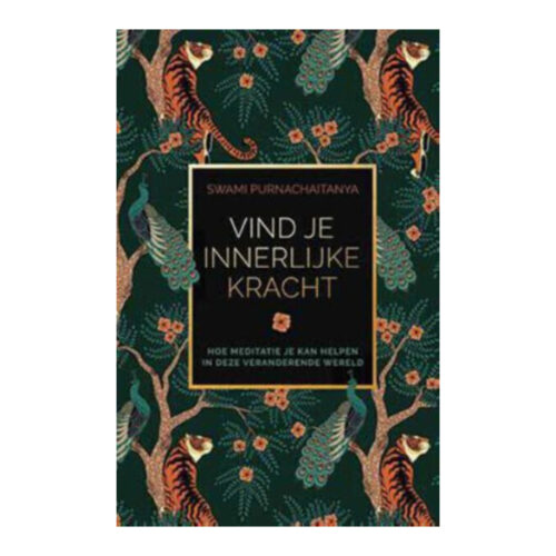 Vind je innerlijke kracht • Swami Purnachaitanya