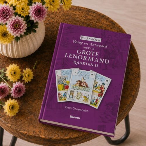 Werkboek Vraag en Antwoord met de Grote Lenormand Kaarten Deel II