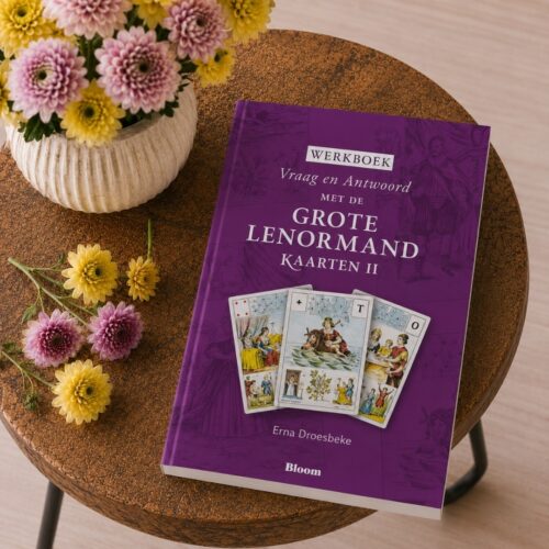 Werkboek Vraag en Antwoord met de Grote Lenormand Kaarten Deel II