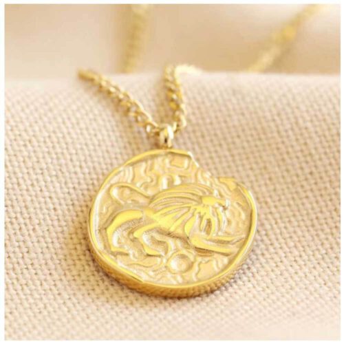 Sterrenbeeld Leeuw ketting • 14kt verguld roestvrijstaal