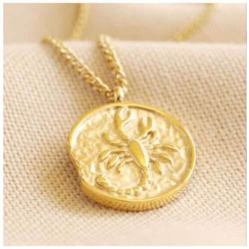 Sterrenbeeld Schorpioen ketting • 14kt verguld roestvrijstaal