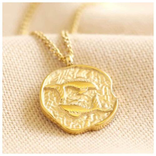 Collier signe astrologique Poissons • acier inoxydable plaqué or 14 ct