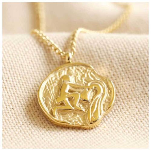 Sterrenbeeld Waterman ketting • 14kt verguld roestvrijstaal