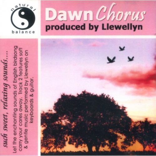 CD Dawn Chorus - Llewellyn